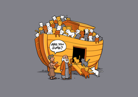 Noah's Ark Cat