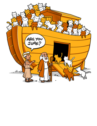 Noah's Ark Cat