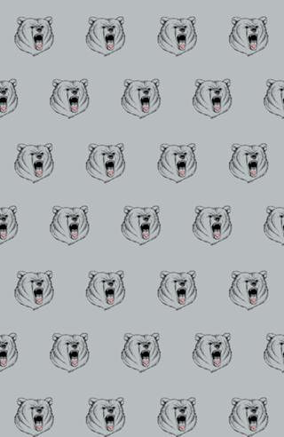 Universal Language Bear Love