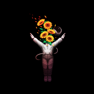 Surya Namaskar Sun Salutation Astronaut