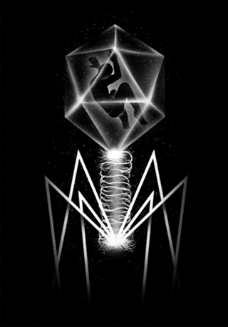 Bacteriophage