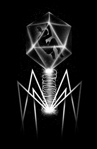 Bacteriophage