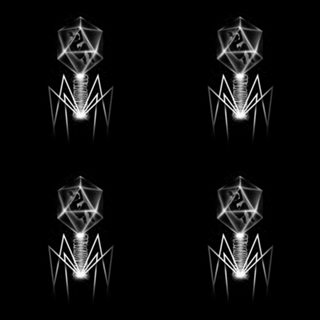 Bacteriophage
