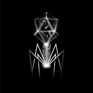 Bacteriophage