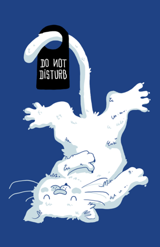 Do Not Disturb