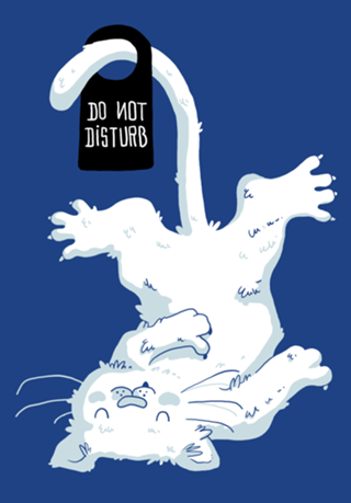 Do Not Disturb