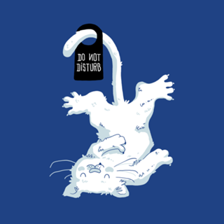 Do Not Disturb