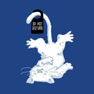 Do Not Disturb