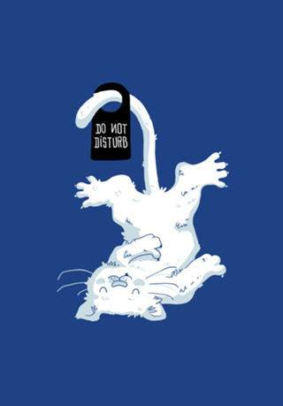 Do Not Disturb