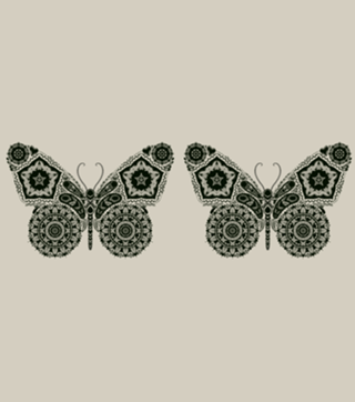 Ornamental Butterfly