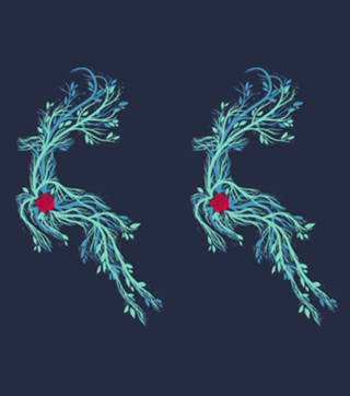 Spirit Vines