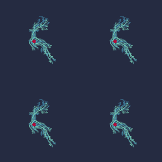 Spirit Vines