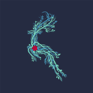 Spirit Vines