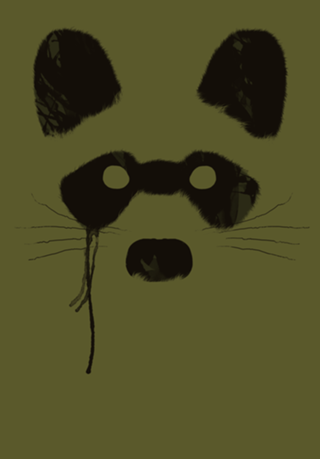 Raccoon