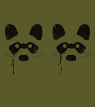 Raccoon