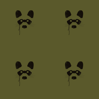 Raccoon