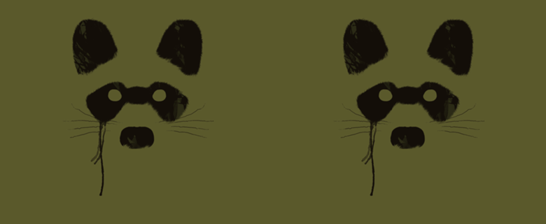 Raccoon