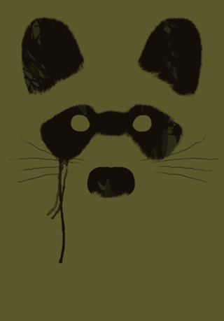 Raccoon