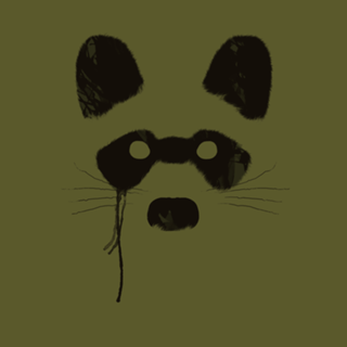 Raccoon