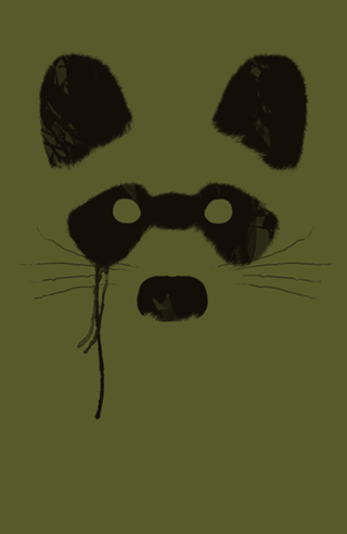 Raccoon