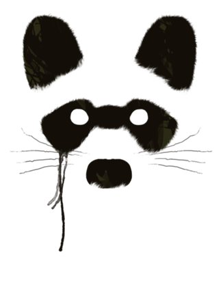 Raccoon