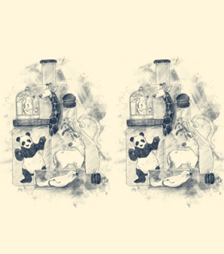 Preservation