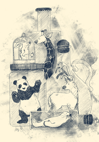 Preservation