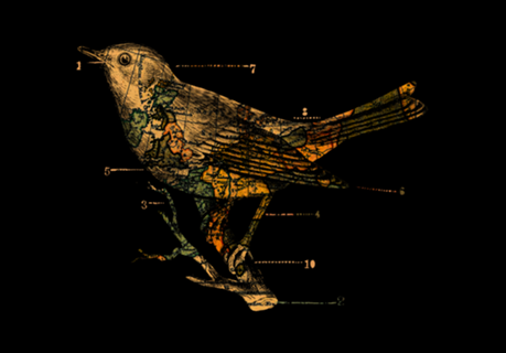 Migration