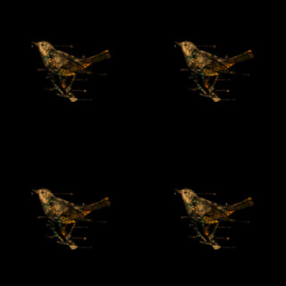 Migration