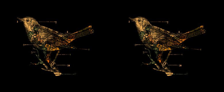 Migration