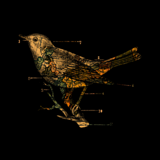 Migration