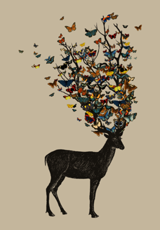Wild Nature
