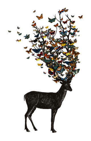 Wild Nature