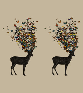 Wild Nature