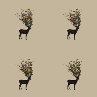 Wild Nature
