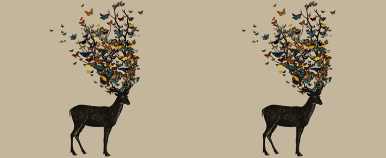 Wild Nature