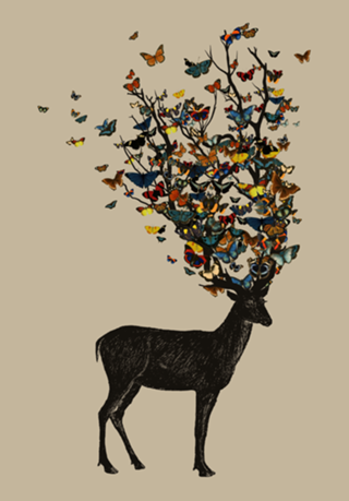 Wild Nature