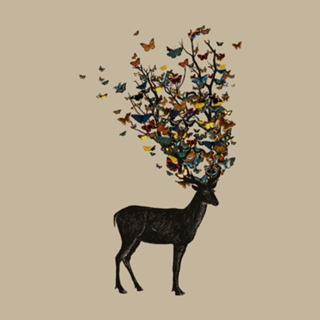 Wild Nature
