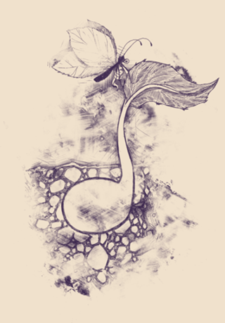 Touch of Creation