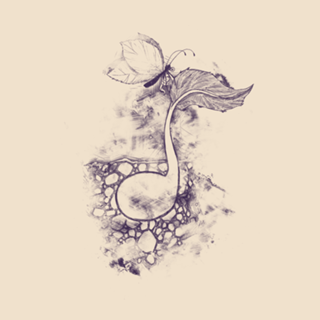 Touch of Creation