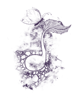 Touch of Creation