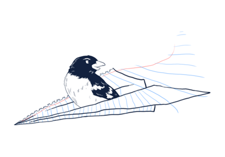 Flying Away
