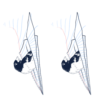 Flying Away