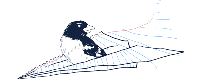 Flying Away