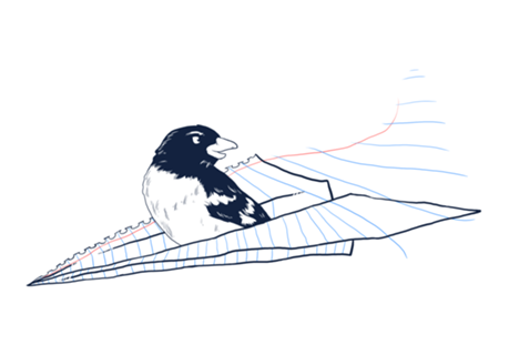 Flying Away