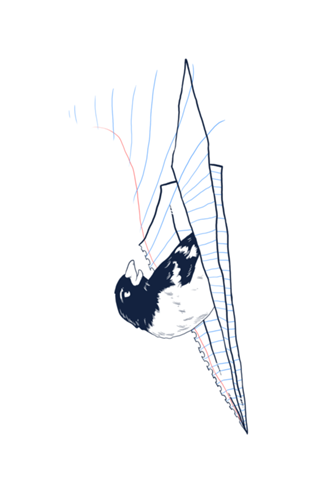 Flying Away