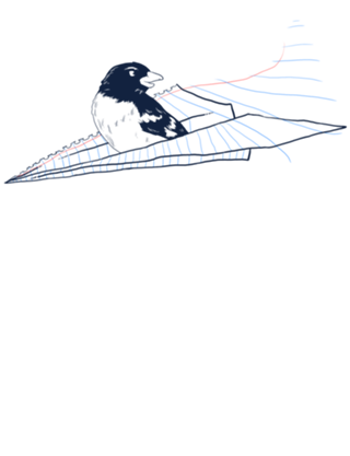 Flying Away