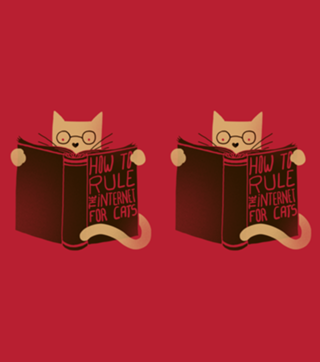 How to Rule the Internet for Cats