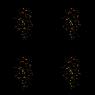 Spirit of Seasons