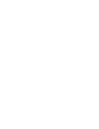 Snow Globe